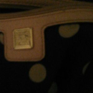 Anne Klein purse